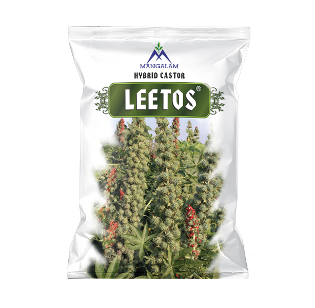 Research Castor Leetos