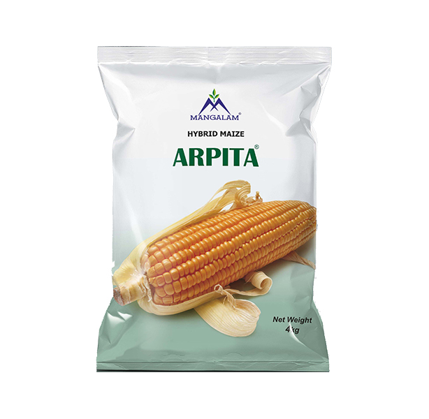 Hybrid Maize Arpita