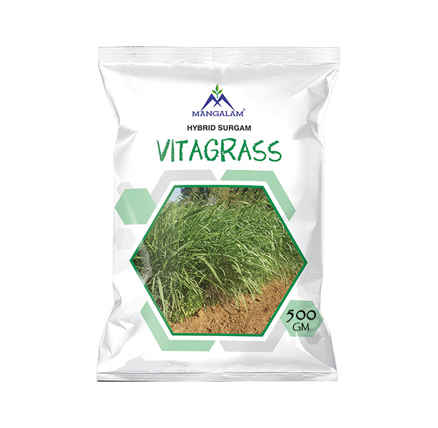 Research Fodder Vitagrass - 500 GM