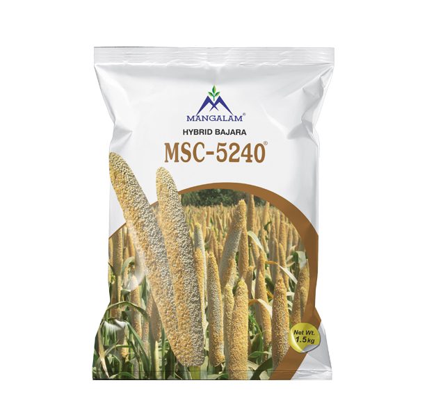 Hy. Bajara Msc - 5240