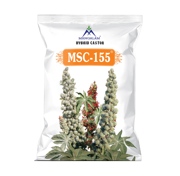 Research Castor Msc - 155