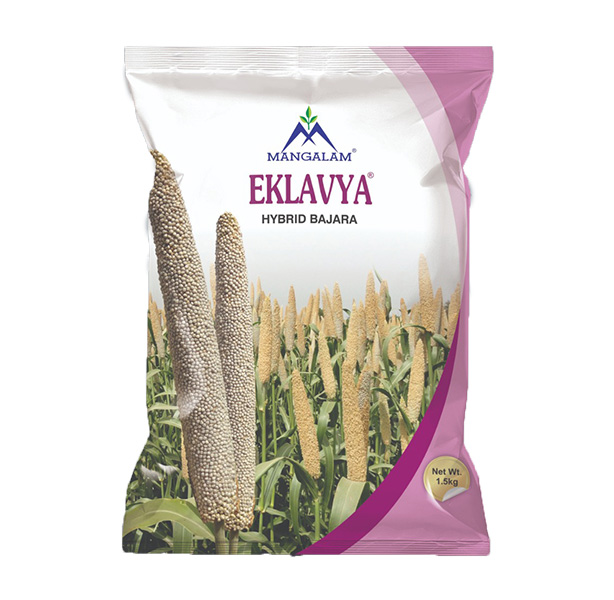 Hy. Bajara Mangalam - Eklavya