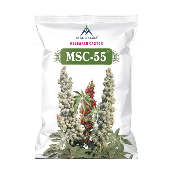 Research Castor Msc-55