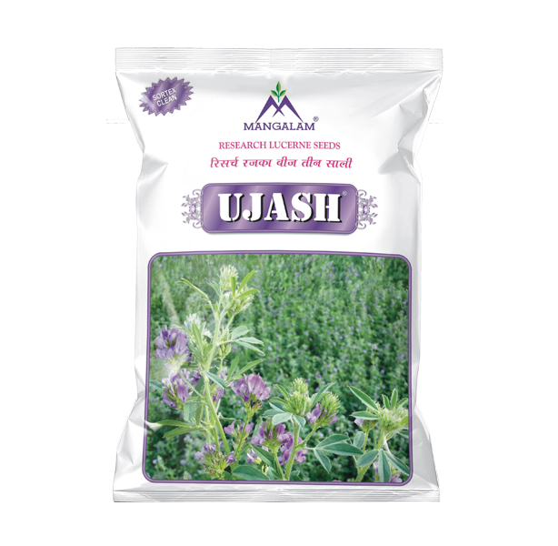 Research Rajaka Ujash