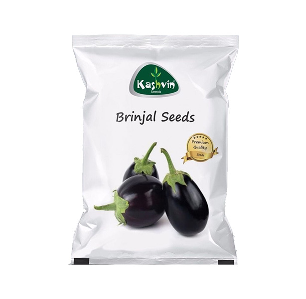 KGP Brinjal Seed - Round
